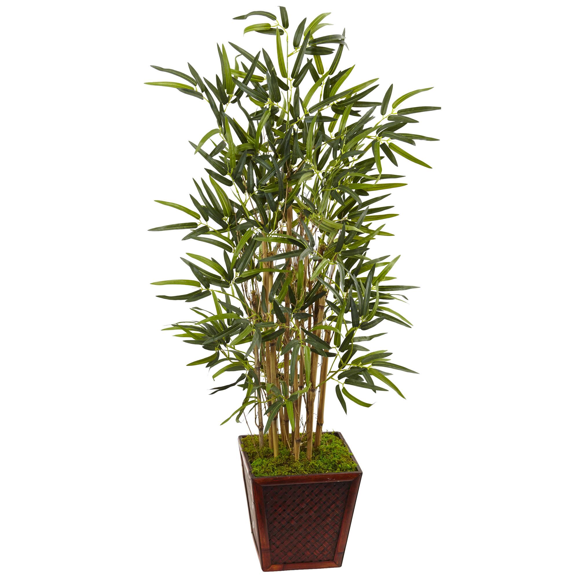 4ft. Bamboo Tree in Bamboo Square